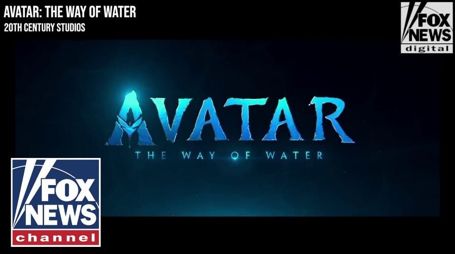 Review Avatar 2 The Way of Water  Vandegrift Voice